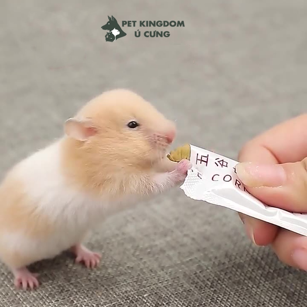 Gel dinh dưỡng cho Hamster, thỏ, sóc, chinchilla