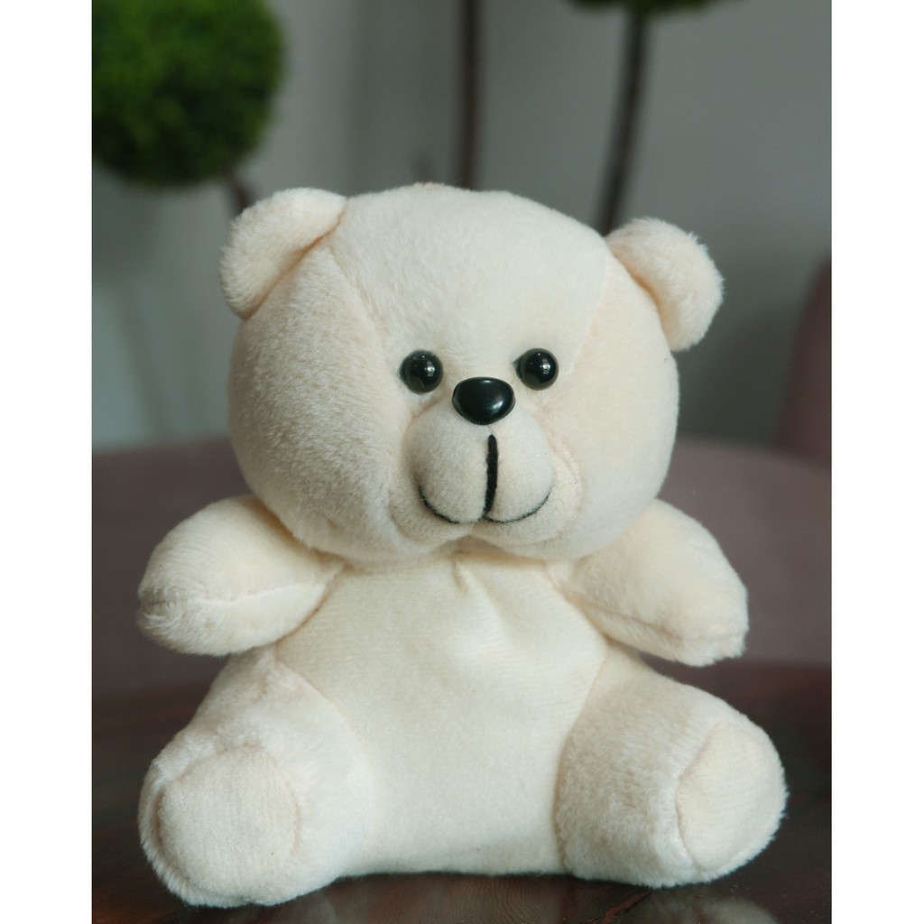 Bó Hoa Gấu Bông Teddy Mini 6.6 Màu Sắc Xinh Xắn