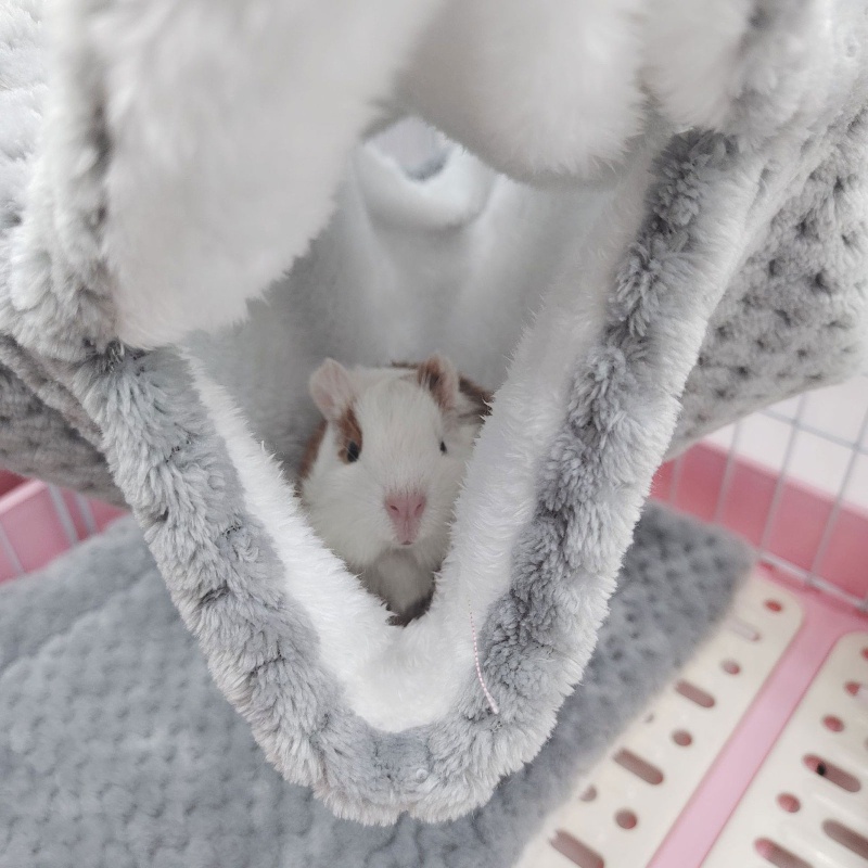 Aoto Bộ 3 Võng Treo Làm Ấm Mùa Đông Cho Chuột Hamster / Đường Hầm