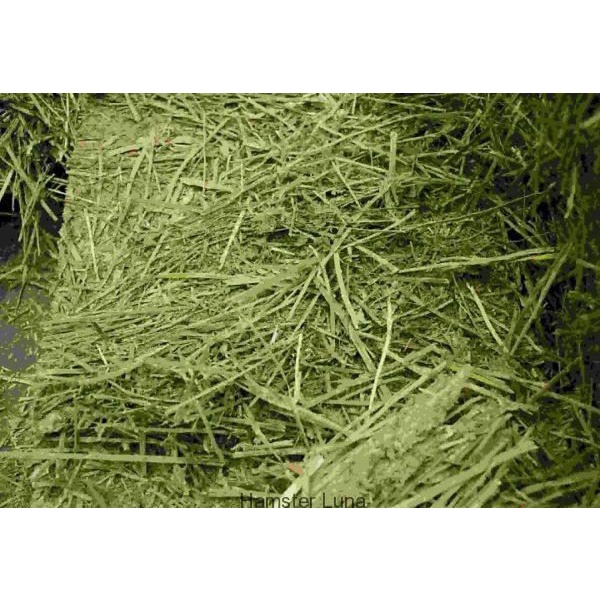 Cỏ anpha cho bọ ú, chuột lang, thỏ, gunie pig (túi 1 kg xịn xò)