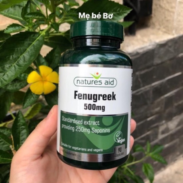 Cỏ lợi sữa Fenugreek Natures Aid