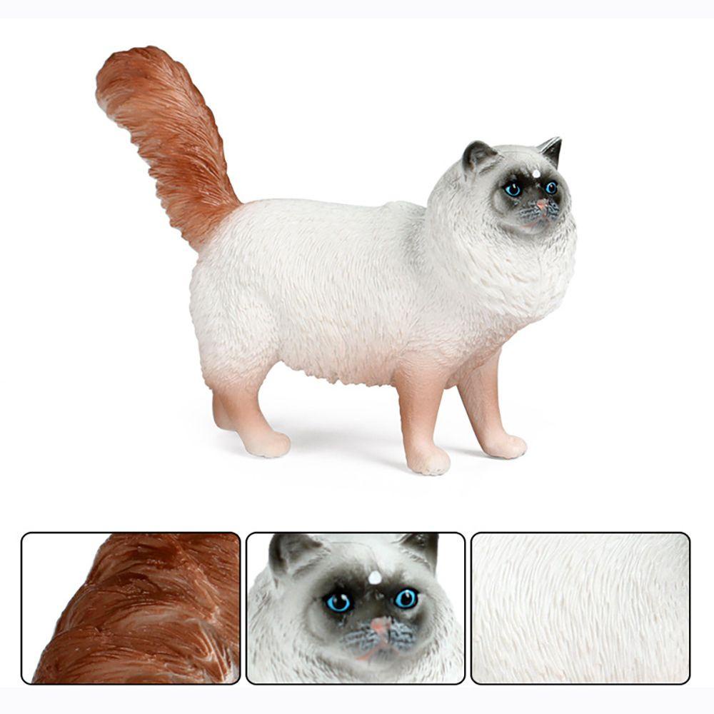 Mô Hình Ragdoll Sống Động Như Thật Dùng Trang Trí Tiểu Cảnh