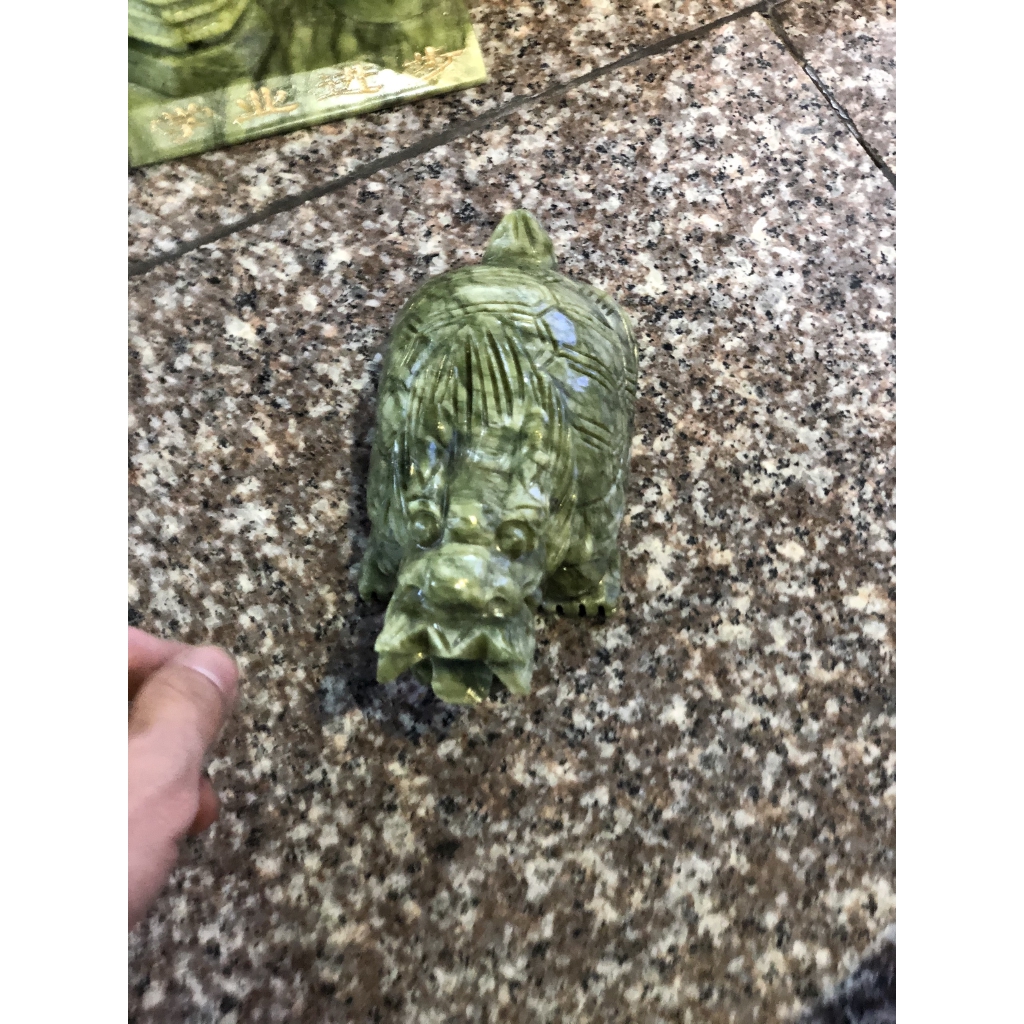 Long quy (Rùa rồng) Serpentine xanh HANMYNGHE