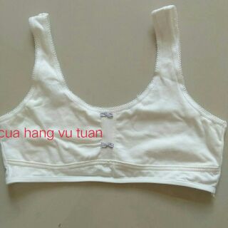 Áo lá bản học sinh