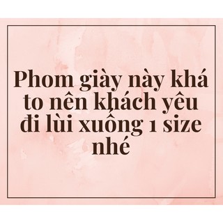 Sục Nữ♥️Sục Thể Thao, Giày Lười [Bill+ Fullbox]