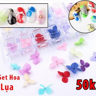 Hoa khô- hoa lụa- hoa 5 cánh làm Nail
