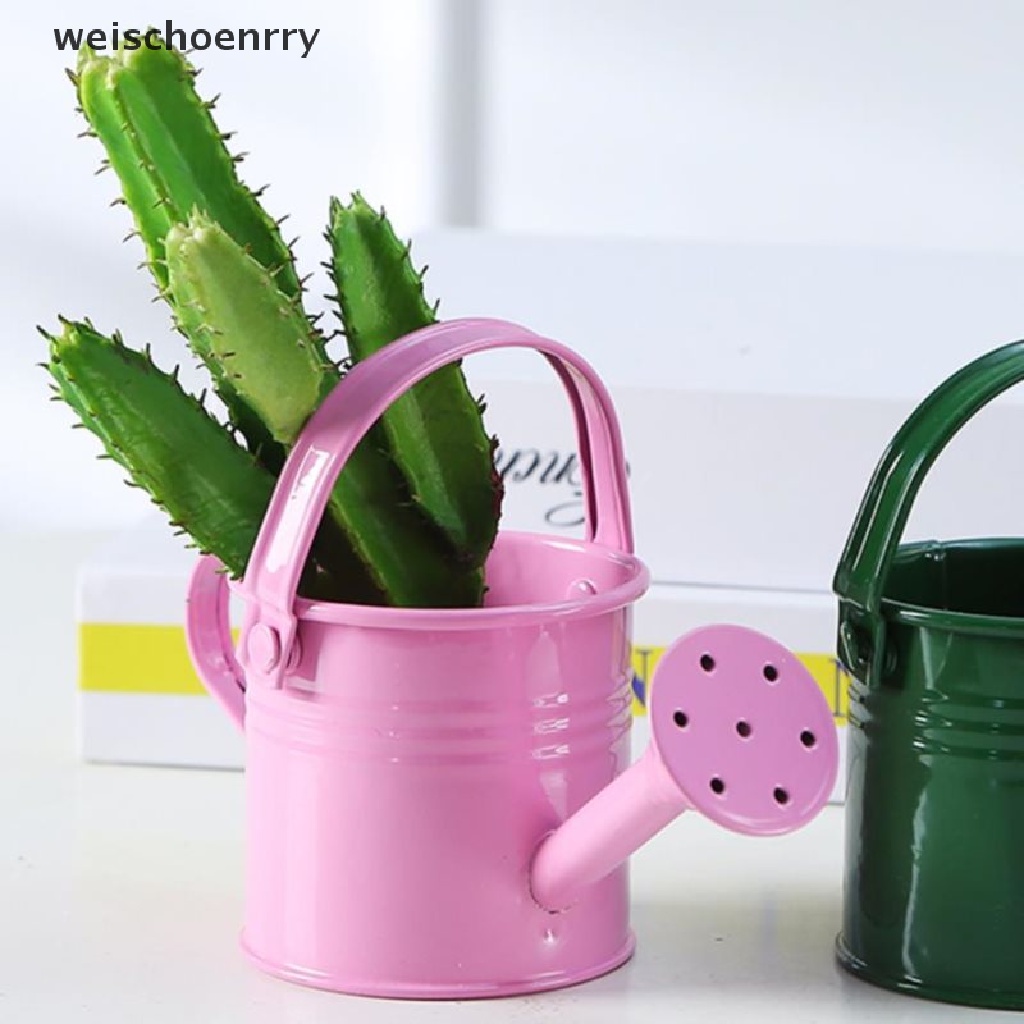 1 Bình Tưới Cây Mini Bằng Kim Loại Phong Cách Vintage