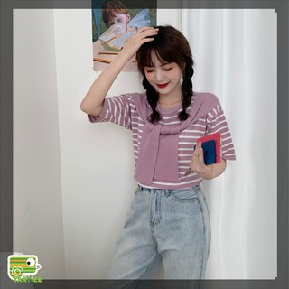 Áo len Cộc Tay Cổ Buộc Vạt Cá Tính