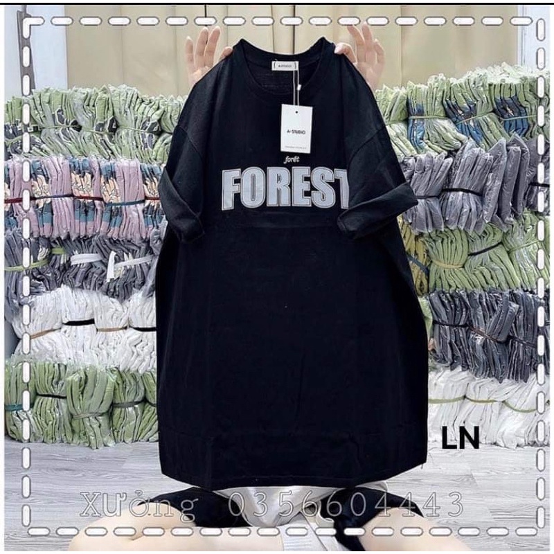 Áo phông chữ FOREST DA6
