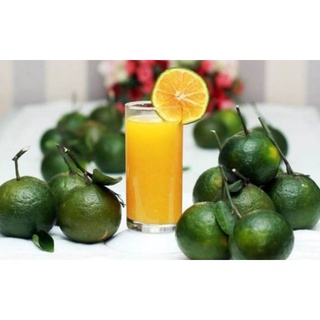 Cam Sành, Cam bi nhiều nước - 1kg