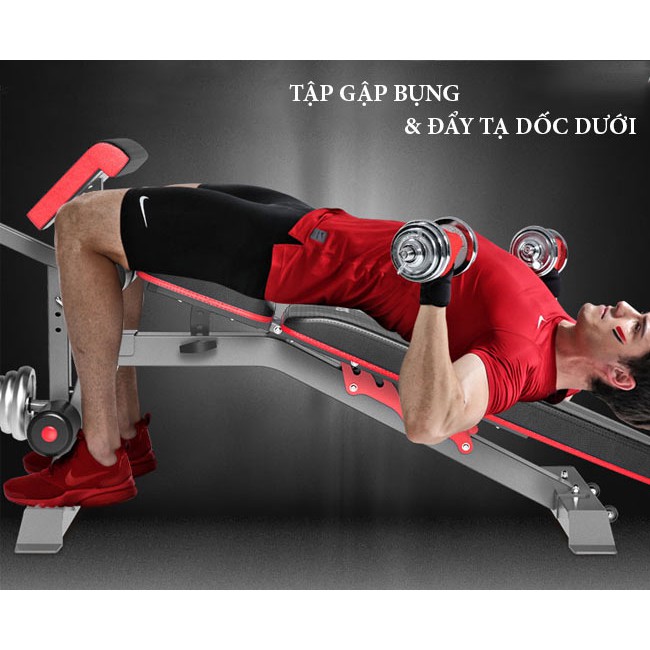 [Hàng Cao Cấp]Ghế tập Gym đa năng DDS-1205 Nhập Khẩu Chất Lượng Cao