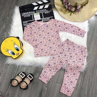 Combo 8 bộ khách đặt bộ bozip hình cho con