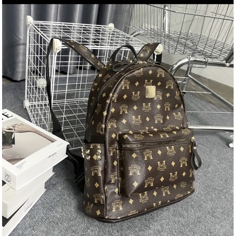 Balo to size 40 cm vừa đi vừa đi trơi Mã N 0580