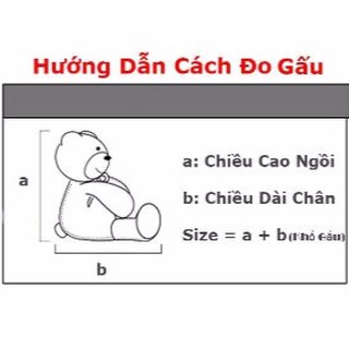 [ Gấu bông 1m2 ] Gấu bông teddy 1m2