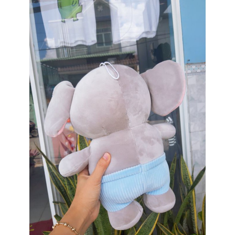 Gấu bông voi mặc quần size 35cm hình chụp thật