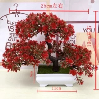 Cây bon sai trang trí phòng khách