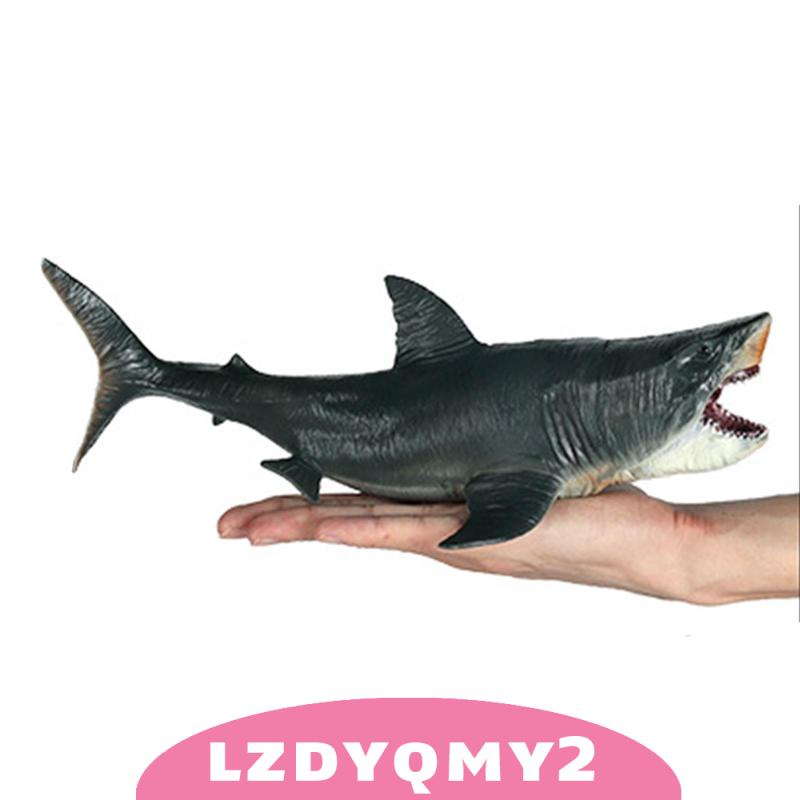 Mô Hình Cá Mập Megalodon Dùng Làm Quà Tặng Cho Bé