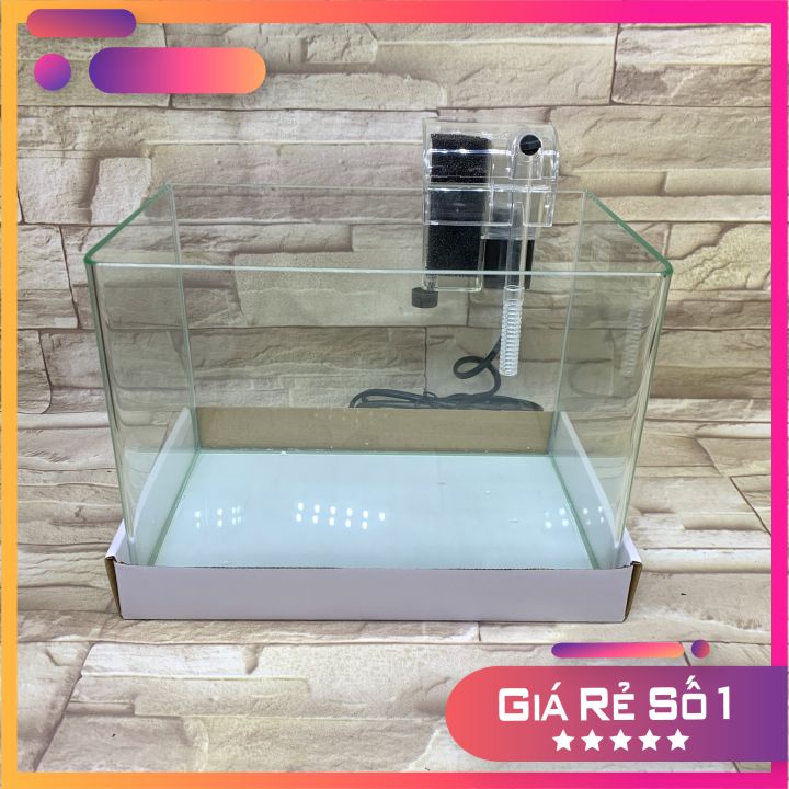 Bể Cá Chữ Nhật 25cm Kính Đúc Bo Góc Đẹp - Bể Cá Mini Để Bàn Dài 25cm