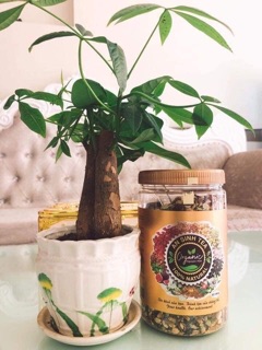 Trà An Sinh ( An Sinh Organic )