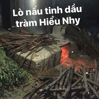 Tinh dầu tràm Hiểu Nhy 50ml
