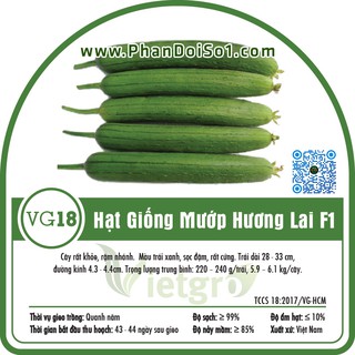 Hạt Giống Mướp Hương Lai F1 Vietgro VG18 (Gói 10 hạt, Gói 10gr)