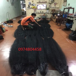 Lưới bẫy chim đêm