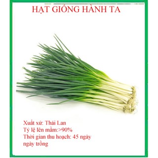 5 gram- hạt giống hành ta