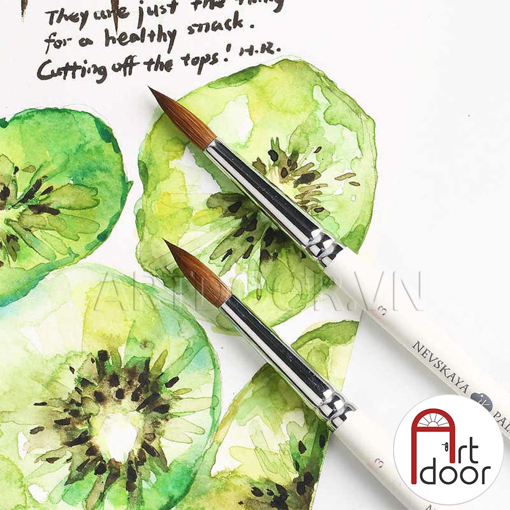 [ARTDOOR] Bộ màu Nước Nén WHITE NIGHTS hạng họa sĩ (hộp gỗ sồi) - 12 Màu