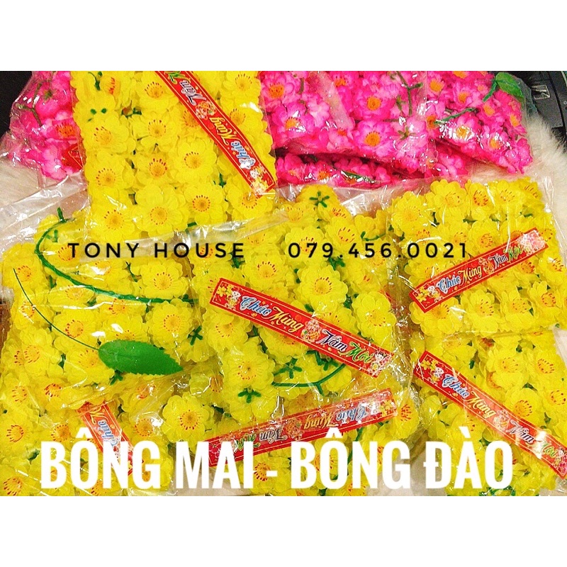 [TẾT] PHỤ KIỆN TRANG TRÍ TẾT - DÂY THẦN TÀI - MÈO MAY MẮN - LỒNG ĐÈN NHỎ TRANG TRÍ TẾT SIÊU ĐẸP - LỰA THEO YÊU CẦU