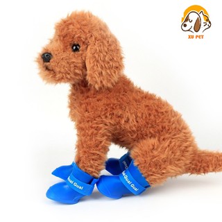Set 4 Giày Đi Mưa Cho Chó Mèo - Ủng Đi Mưa Cho Thú Cưng