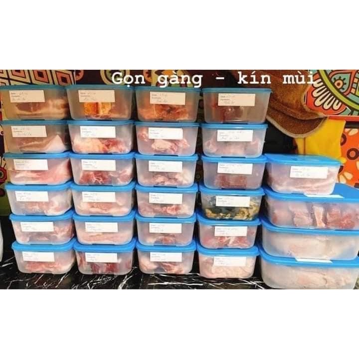 Bộ hộp trữ đông tupperware 650ml  hàng chính hãng nhựa nguyên sinh bảo hành trọn vòng đời sản phẩm
