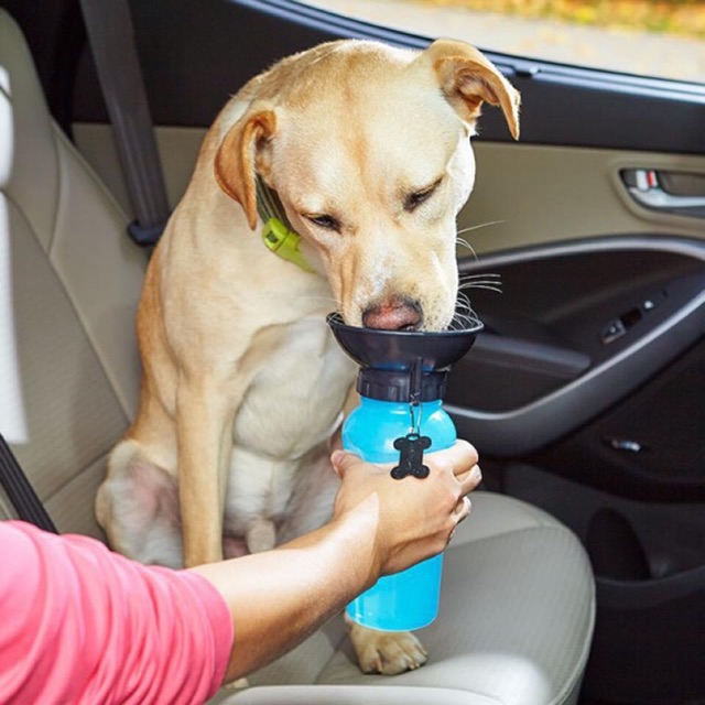 Auto Dog Mug - Bình nước du lịch di động tự động cho cún mèo