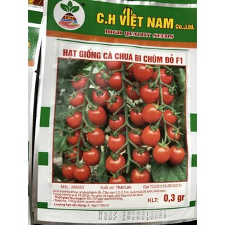 Hạt giống Cà Chua F1 🌱