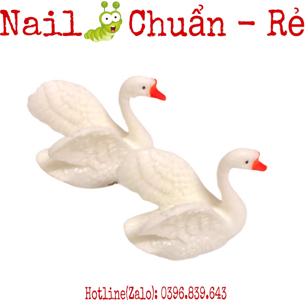 Đế Gắn Móng Mẫu Tập Vẽ - Đế Móng Làm  Mẫu Nail