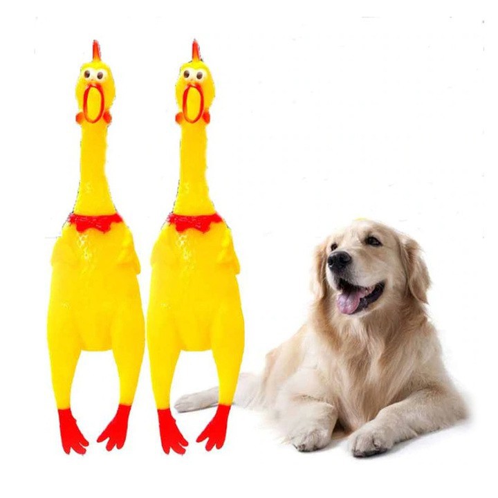 Đồ chơi con gà la hét cho chó mèo, shrilling chicken Kún Miu, gà la hét cỡ to 31cm