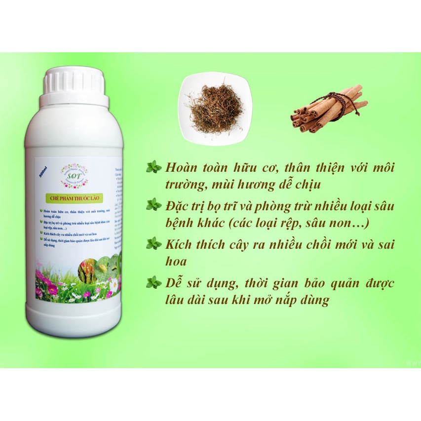 Chế phẩm sinh học 500ml (từ thuốc lào) phòng trừ & trị bọ trĩ, rệp, nhện đỏ, sâu...