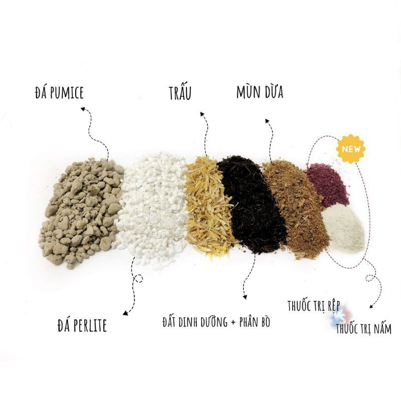 Hỗn Hợp Tro Trấu - Trấu Hun - Thuốc Tím Trị Rệp, Xơ Dừa, Mùn Dừa, Phân Trùn Quế - Giá Thể Sen Đá, Xương Rồng, Cẩm Nhung