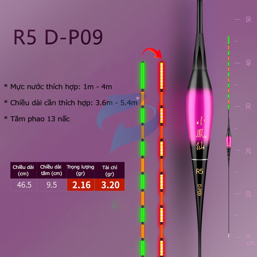 PHAO ĐÊM ĐỔI MÀU TIỂU PHƯỢNG HOÀNG - CÂU ĐƯỢC CẢ NGÀY LẪN ĐÊM MÃ R5 D-P