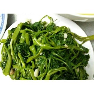 Rau Muống Lá Tre RĐ 12 - Rạng Đông