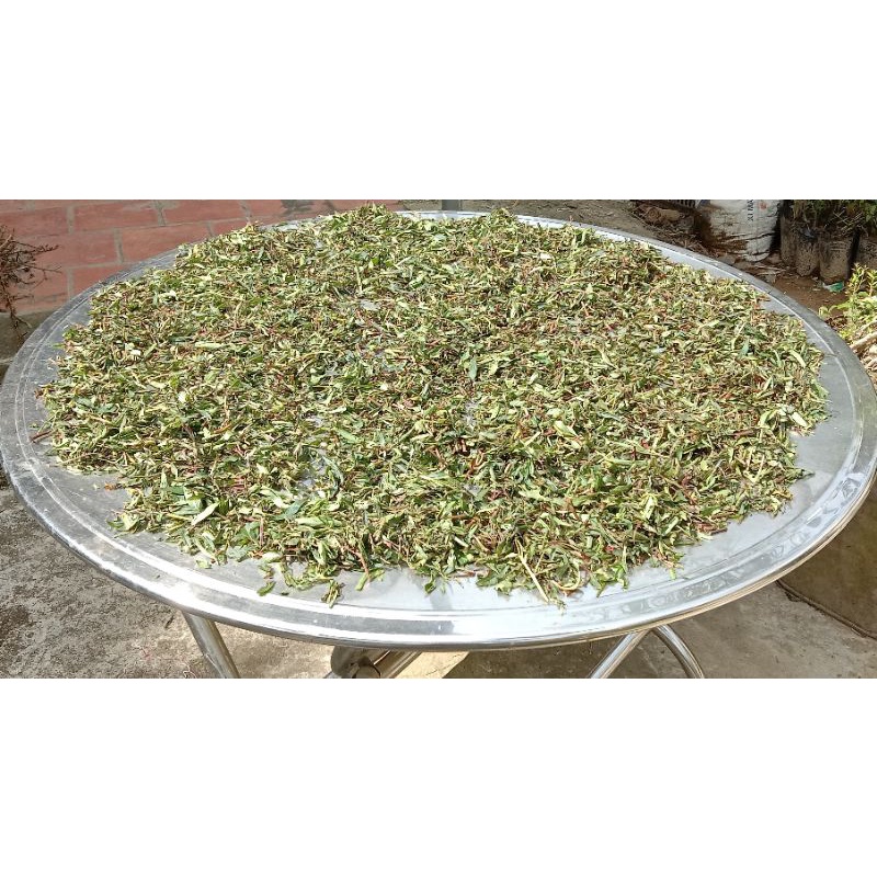Combo 5kg Cây rau mương tươi/ khô sạch chuẩn mua nhiều giá sỉ