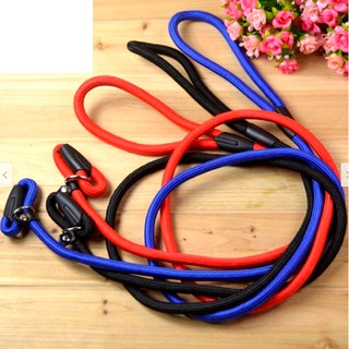 Dây dắt vòng cổ vải dù chó mèo thú cưng chắc chắn có tây cầm