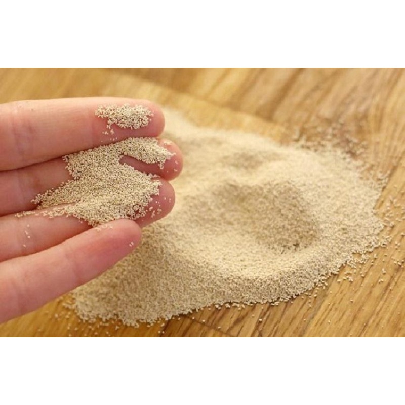 MEN KHÔ ANGEL LÀM BÁNH MÌ GÓI 10GR