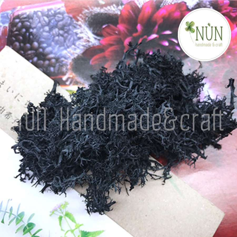Rêu Các Màu Làm Trang Trí Handmade [MỚI]