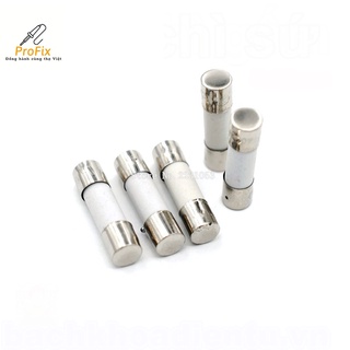 Cầu chì chân cắm 10a 250v 5x20mm.
