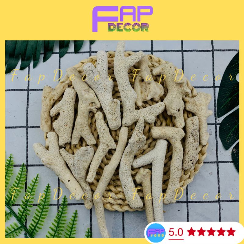 San Hô Lọc Nước Hồ Cá, San Hô Tăng Độ PH Trong Nước Cho Bể Cá - FapFood