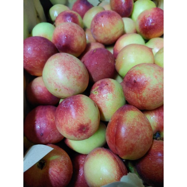 HCM Free Ship - Đào Đỏ Sapa giòn ngọt 1kg