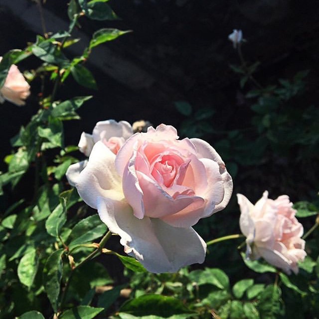 reinidey11, Cửa hàng trực tuyến | BigBuy360 - bigbuy360.vn