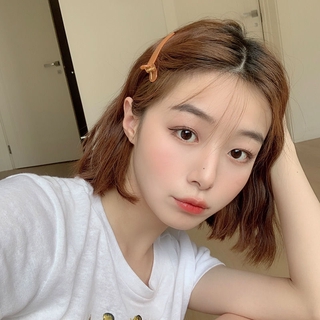 Kẹp Tóc Mỏ Vịt F473