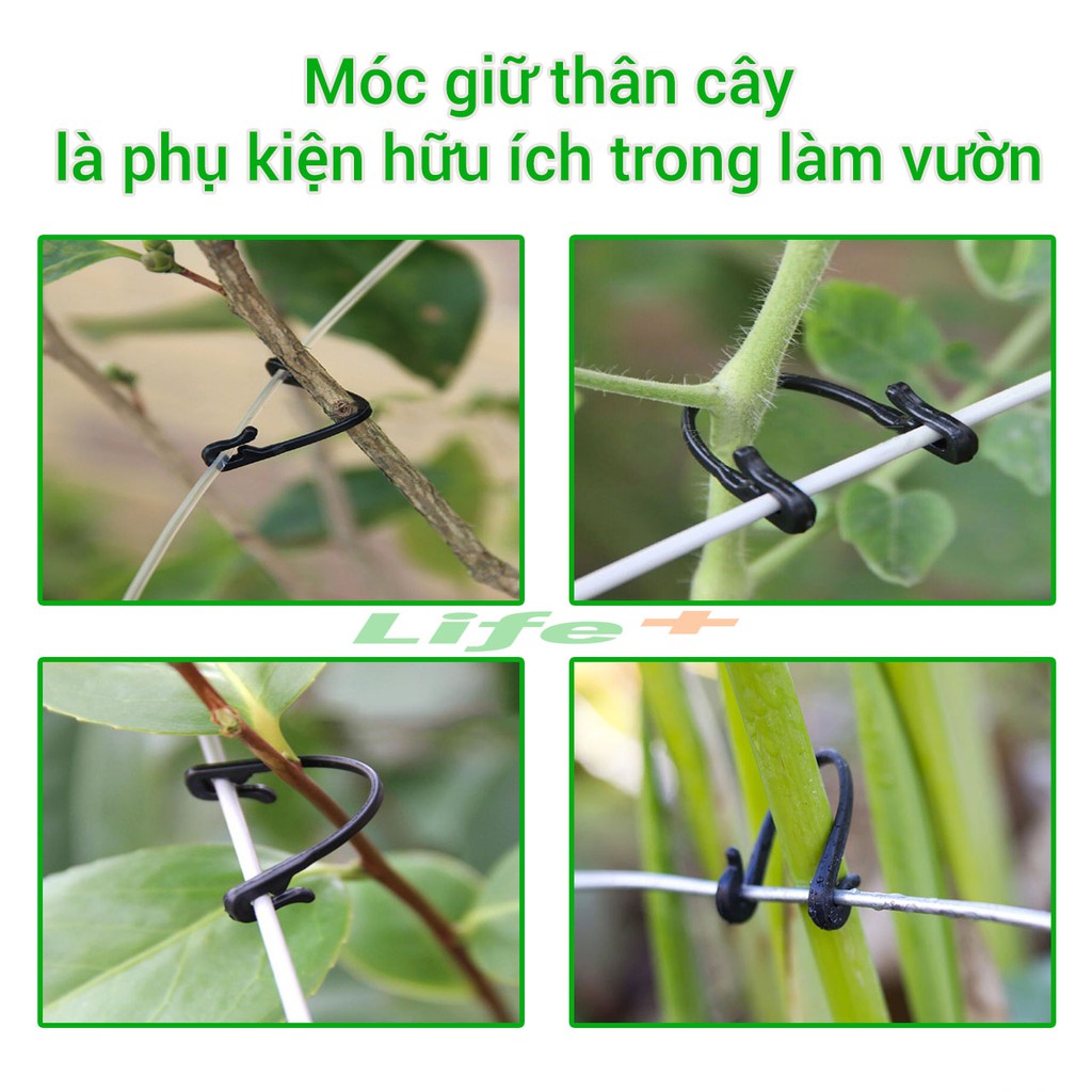 Móc giữ thân cây vào giàn lưới túi 50g