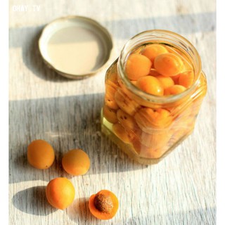 Mơ ngâm muối 2kg Ô mai Gia Thịnh Hàng Đường Hà Nội NowShip